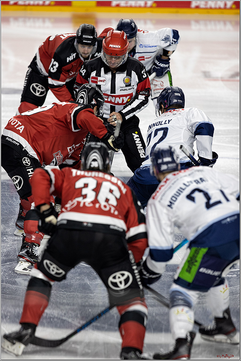 PENNY DEL;  Koelner Haie - Straubing Tigers; Koeln, 15.10.2021